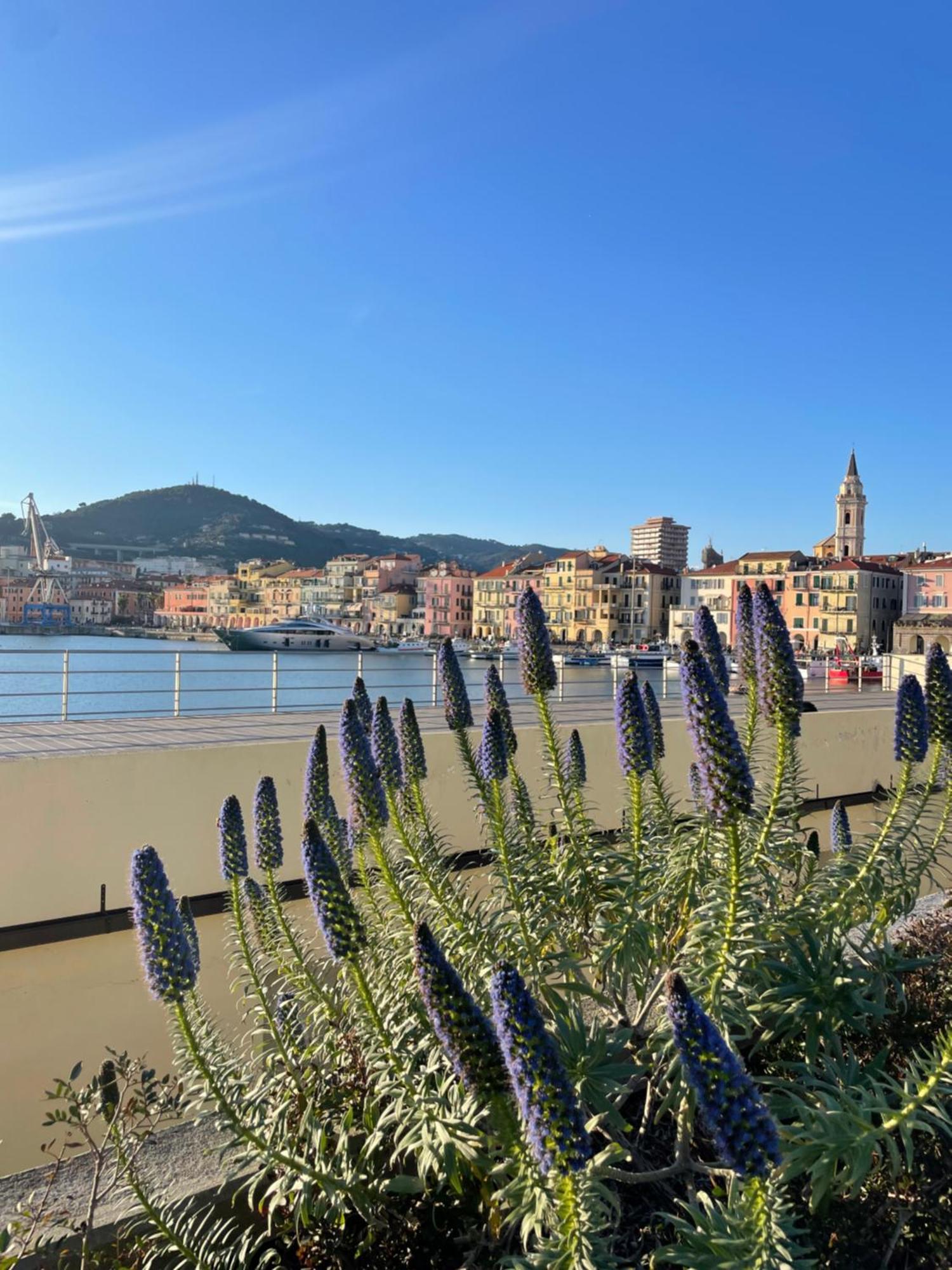 Uliveto Saglietto Agriturismo A Poggi Apartments อิมเปรีอา ภายนอก รูปภาพ