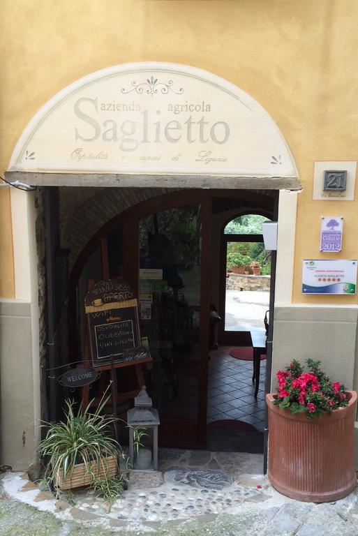 Uliveto Saglietto Agriturismo A Poggi Apartments อิมเปรีอา ภายนอก รูปภาพ
