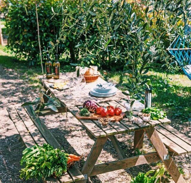 Uliveto Saglietto Agriturismo A Poggi Apartments อิมเปรีอา ภายนอก รูปภาพ