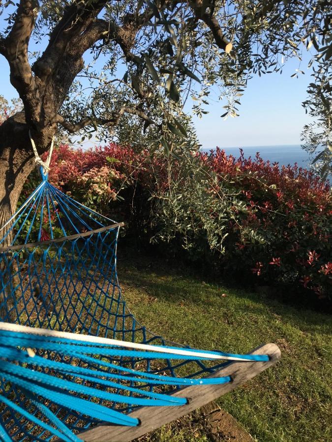 Uliveto Saglietto Agriturismo A Poggi Apartments อิมเปรีอา ภายนอก รูปภาพ